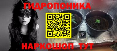 spice Заводоуковск