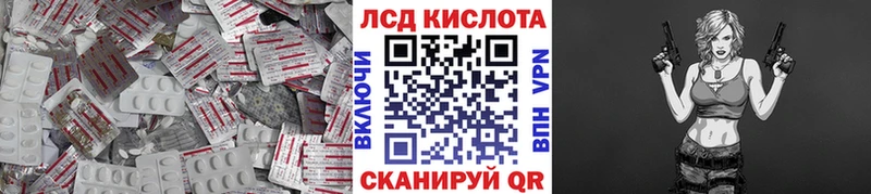 блэк спрут вход  Сочи  Лсд 25 экстази кислота 