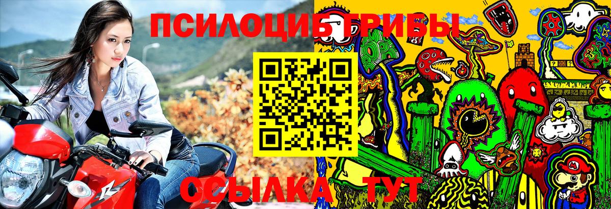 Псилоцибиновые грибы ЛСД  Вход с VPN  Псилоцибиновые грибы прущие грибы  Сочи 