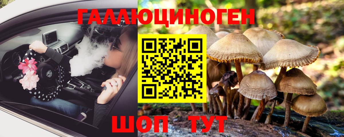Псилоцибиновые грибы прущие грибы Сочи